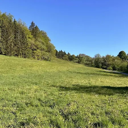 Smart B&b1 Bb1 118 * ווינטרברג